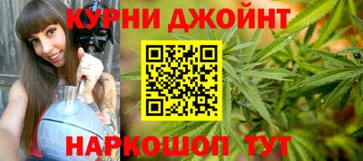 гидра Краснознаменск